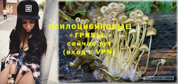 герыч Богданович