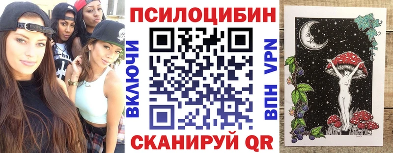 наркошоп  Новосиль  Галлюциногенные грибы Psilocybine cubensis 